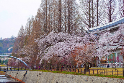 산책길